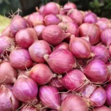 சின்ன வெங்காயம் (Chinna Vengayam/Pearl Onion)