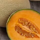 முலாம் பழம் (Muskmelon / Cantaloupe)