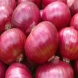 பெரிய வெங்காயம் ( Periya Vengayam/ Big Onion)