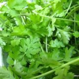 கொத்த மல்லி(Kotha Malli)