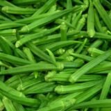 வெண்டைக்காய்(Lady's Finger)