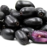 நாவல் பழம் (Java Plum / Jamun)