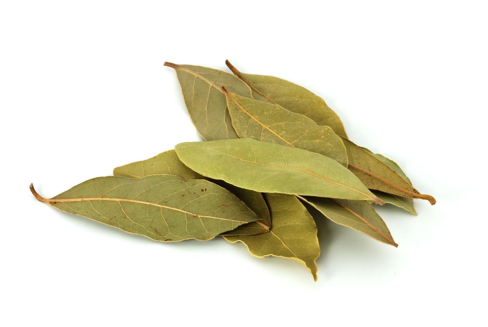 பிரியாணி இலை / கவுஞ்சிலை (Bay Leaves)