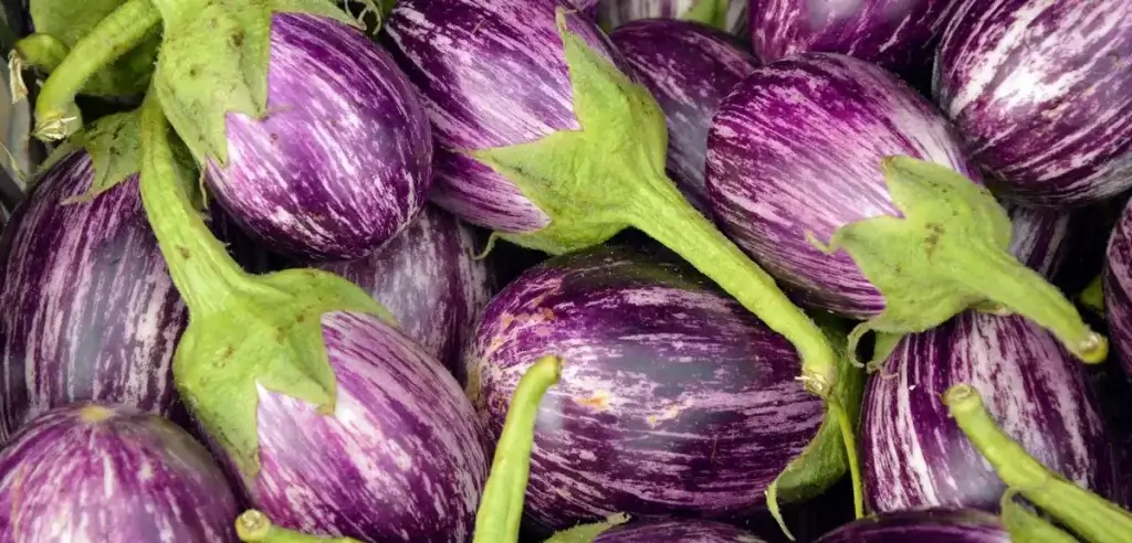 கத்திரிக்காய்(Kathirikkai/Brinjal)