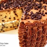 சாக்லேட் சிப் கேக்//Chocolate Chip Cake